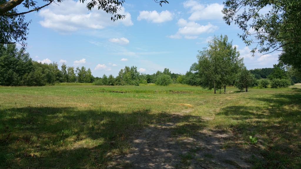 Apartament Stary Kazimierz - Apartamenty Pod Aniolem Kazimierz Dolny Εξωτερικό φωτογραφία